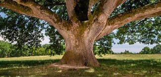 Protection de la nature